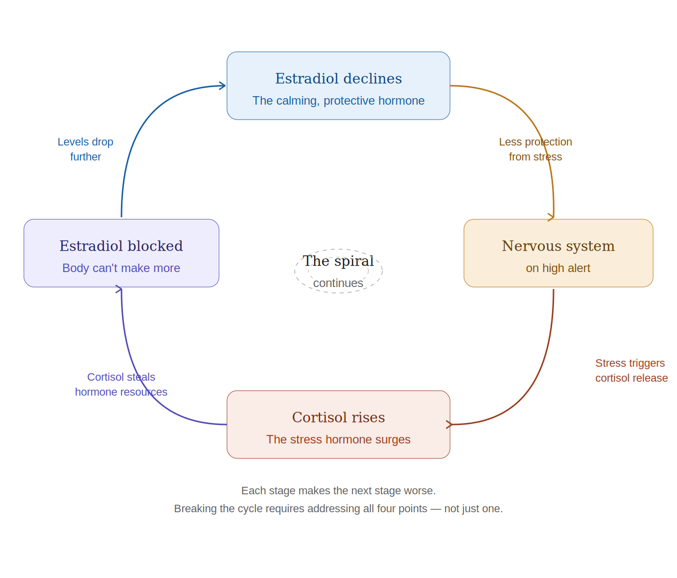 Diagram showing the vicious cycle: declining estradiol leads to increased stress reactivity, which increases cortisol, which further disrupts estradiol production — and the cycle repeats