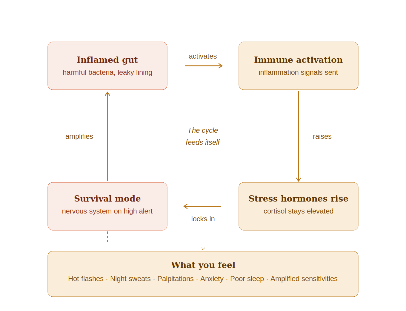 Gut-Nervous System Cycle